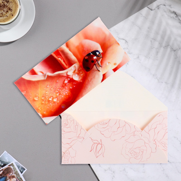 Конверт для денег "Божья коровка" 17х8,5 см