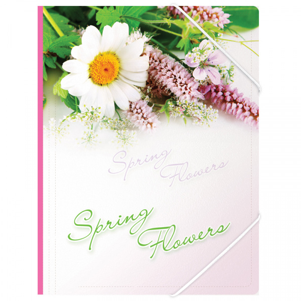 Папка на резинке Berlingo "Spring Flowers" А4, 550мкм, рисунок ANp_01431