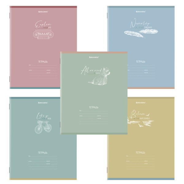Тетрадь 24л. BRAUBERG клетка, обложка картон, PASTEL