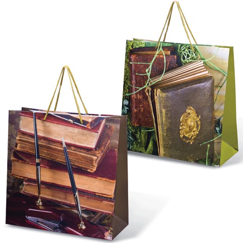 Пакет подарочный ламинированный, 38х38х16 см, книги, шк7523