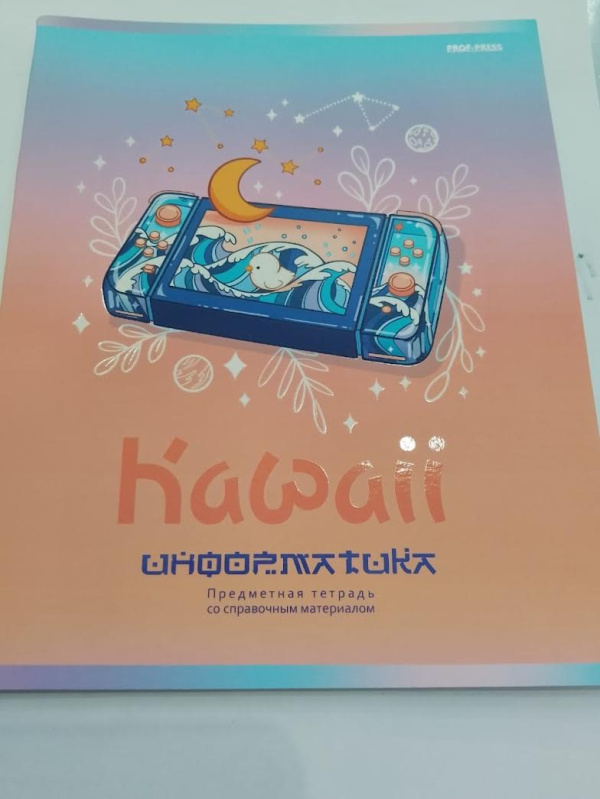 Тетрадь предметная 48л. Проф-Пресс