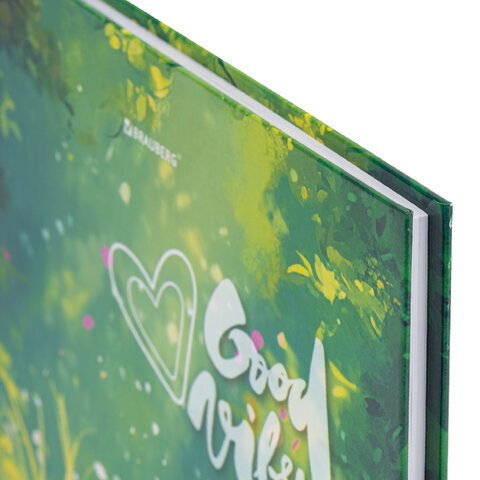 Дневник 1-4 класс 48 л., твердый, BRAUBERG, глянцевая ламинация, с подсказом, "Панда", 107158.