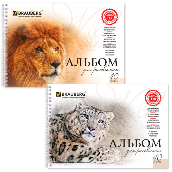 Альбом для рисования А4 40л. BRAUBERG обл.мел.карт, гребень, 110г/м2 "Благородные кошки"
