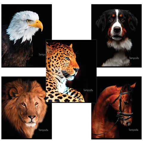 Тетрадь 48л. клетка BRAUBERG клетка, обложка картон, ЖИВОТНЫЕ