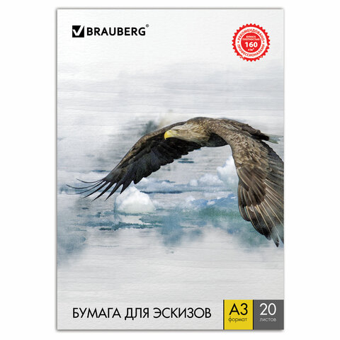 Папка для рисования А3, 297х420 мм, 20 л., BRAUBERG, внутренний блок 160 г/м2, 125228