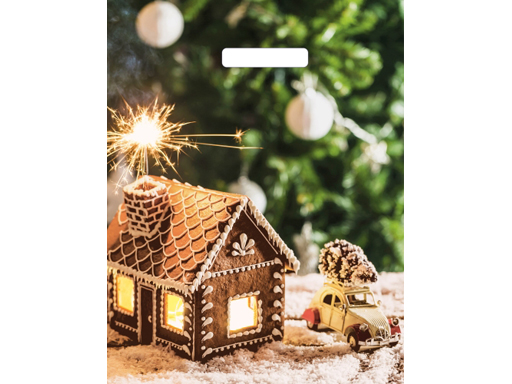 Пакет ПЭ с вырубной ручкой 31х40 (60) глянец НГ Пряничный домик Россия