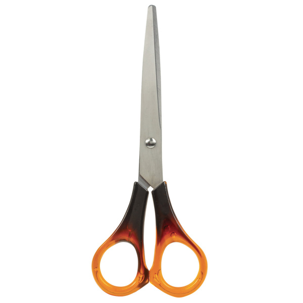 Ножницы STAFF "Basic" 200 мм, ручки под янтарь, ПВХ чехол с европодвесом, 236938 Ножницы STAFF "Basic" 200 мм, ручки под янтарь, ПВХ чехол с европодвесом, 236938