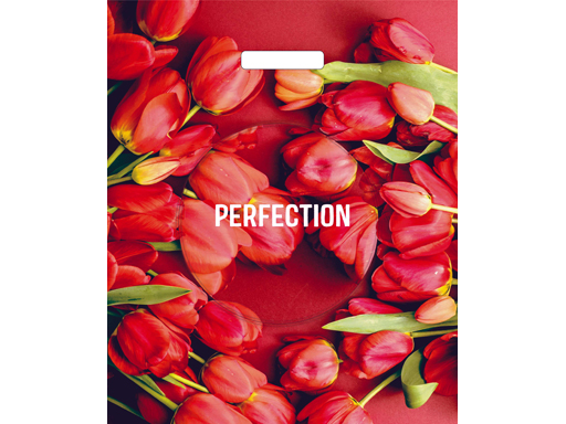 Пакет ПЭ с вырубной ручкой 38х45+3 (60) глянец  (Совершенство) Россия