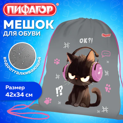 Мешок для обуви ПИФАГОР, 1 отделение, 42х34 см, "Меломан", 274631